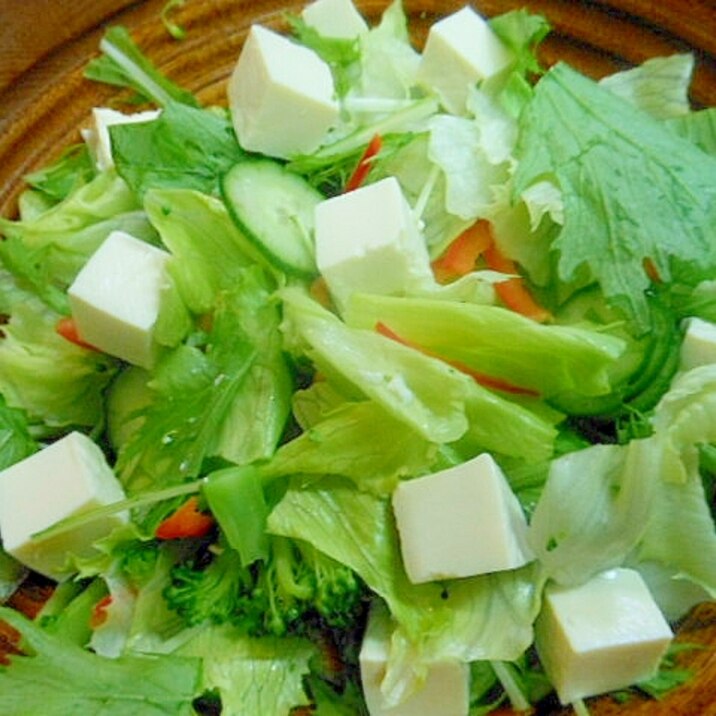 たっぷり生野菜と塩豆腐のサラダ